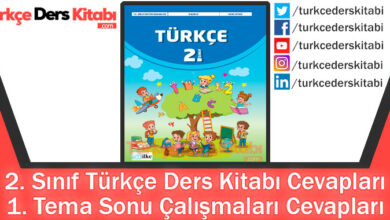 1. Tema Sonu Çalışmaları Cevapları (2. Sınıf Türkçe İlke)