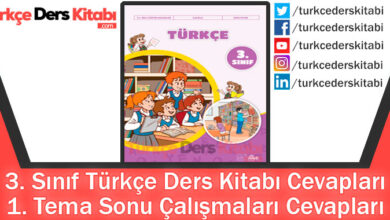 1. Tema Sonu Çalışmaları Cevapları (3. Sınıf Türkçe İlke)