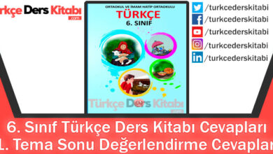 1. Tema Sonu Değerlendirme Cevapları (6. Sınıf Türkçe MEB)