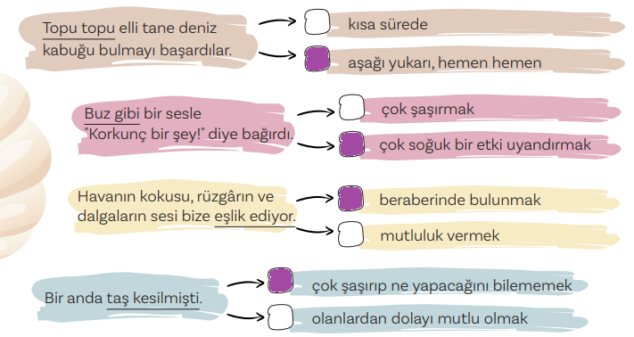 2. Sınıf Türkçe Ders Kitabı Sayfa 14 Cevapları MEB Yayınları