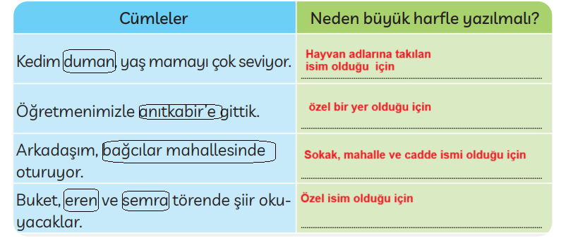 3. Sınıf Türkçe Ders Kitabı Cevapları Sayfa 30 MEB Yayınları (Beş Taş Ve İki Ceviz Bileti)