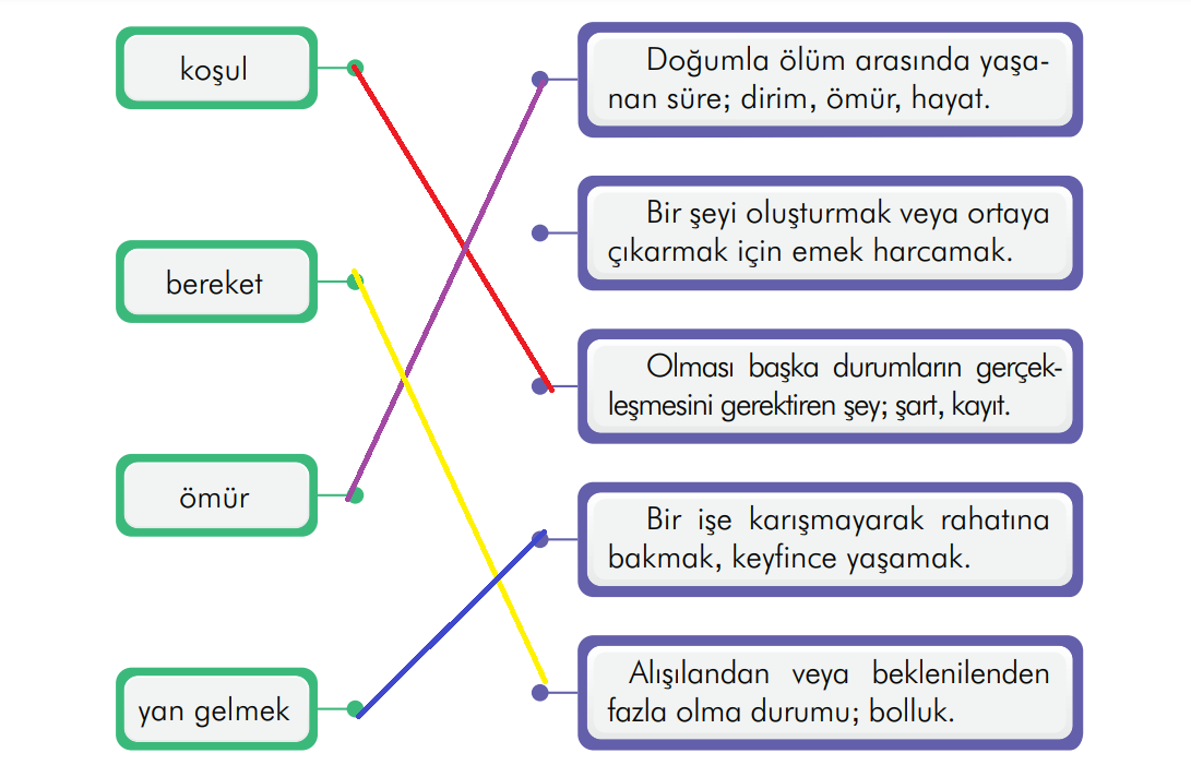 3. Sınıf Türkçe Ders Kitabı Sayfa 15 Cevapları İlke Yayıncılık