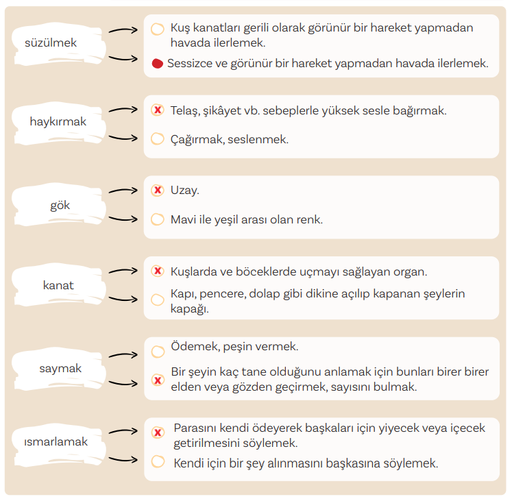 5. Sınıf Türkçe Ders Kitabı Sayfa 56 Cevapları MEB Yayınları