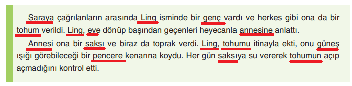 6. Sınıf Türkçe Ders Kitabı Cevapları Sayfa 31 Yıldırım Yayınları (Kaynatılmış Tohum)