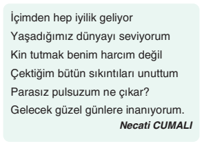 6. Sınıf Türkçe Ders Kitabı Cevapları Sayfa 41 Yıldırım Yayınları (1. Tema Öğrendiklerimizi Değerlendirelim)