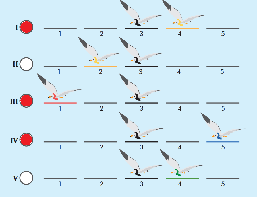 7. Sınıf Türkçe Ders Kitabı Sayfa 18 Cevapları MEB Yayınları