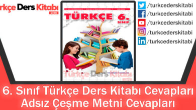 Adsız Çeşme Metni Cevapları (6. Sınıf Türkçe Yıldırım)