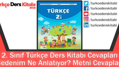 Bedenim Ne Anlatıyor Metni Cevapları (2. Sınıf Türkçe İlke)