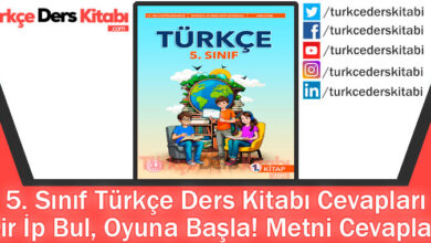 Bir İp Bul, Oyuna Başla! Metni Cevapları (5. Sınıf Türkçe MEB)