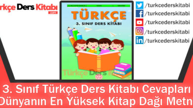 Dünyanın En Yüksek Kitap Dağı Metni Cevapları (3. Sınıf Türkçe MEB)