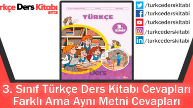 Farklı Ama Aynı Metni Cevapları (3. Sınıf Türkçe İlke)