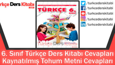 Kaynatılmış Tohum Metni Cevapları (6. Sınıf Türkçe Yıldırım)