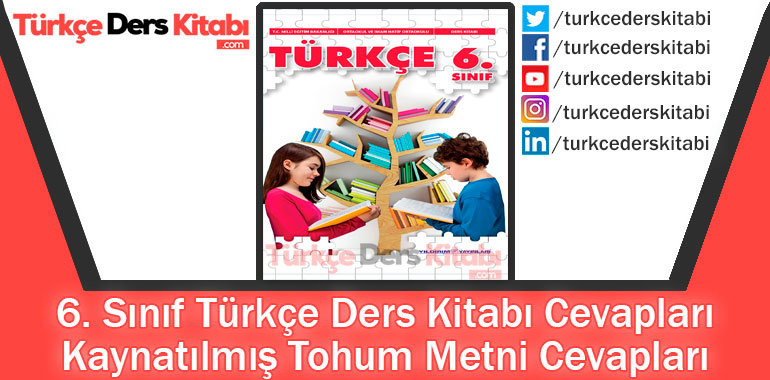 Kaynatılmış Tohum Metni Cevapları (6. Sınıf Türkçe Yıldırım)