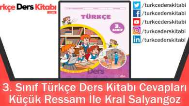 Küçük Ressam İle Kral Salyangoz Metni Cevapları (3. Sınıf Türkçe İlke)