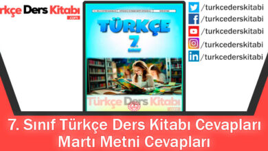 Martı Metni Cevapları (7. Sınıf Türkçe MEB)