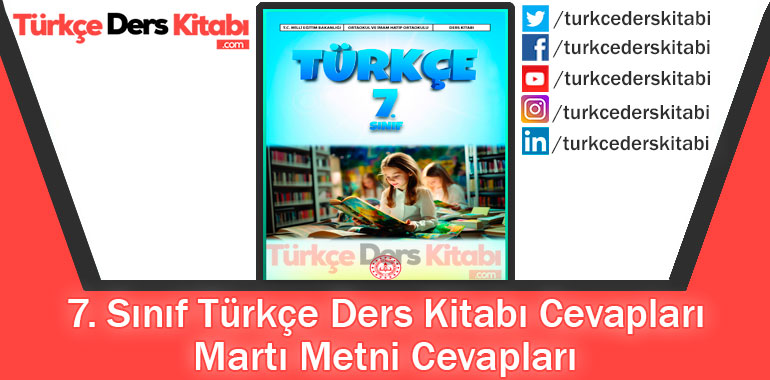 Martı Metni Cevapları (7. Sınıf Türkçe MEB)