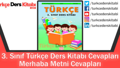 Merhaba Metni Cevapları (3. Sınıf Türkçe MEB)