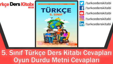 Oyun Durdu Metni Cevapları (5. Sınıf Türkçe MEB)