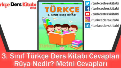 Rüya Nedir Metni Cevapları (3. Sınıf Türkçe MEB)