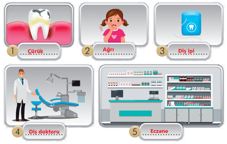 2. Sınıf Türkçe Ders Kitabı Sayfa 112 Cevapları İlke Yayıncılık