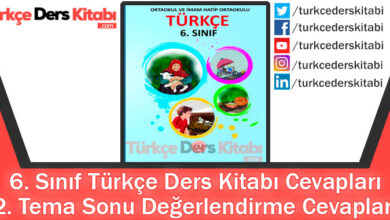 2. Tema Sonu Değerlendirme Cevapları (6. Sınıf Türkçe MEB)