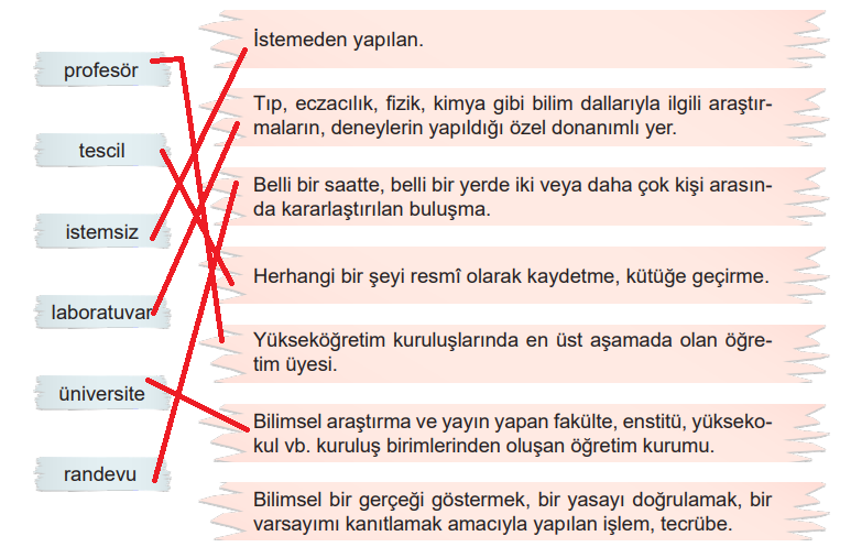 6. Sınıf Türkçe Ders Kitabı Sayfa 67 Cevapları MEB Yayınları