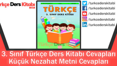 Küçük Nezahat Metni Cevapları (3. Sınıf Türkçe MEB)