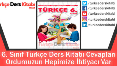 Ordumuzun Hepimize İhtiyacı Var Metni Cevapları (6. Sınıf Türkçe Yıldırım)